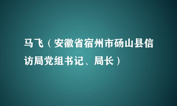马飞（安徽省宿州市砀山县信访局党组书记、局长）