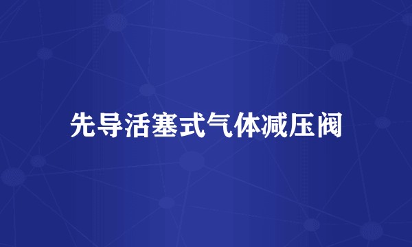 先导活塞式气体减压阀