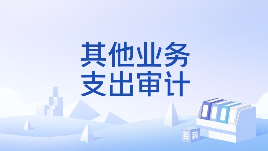 其他业务支出审计
