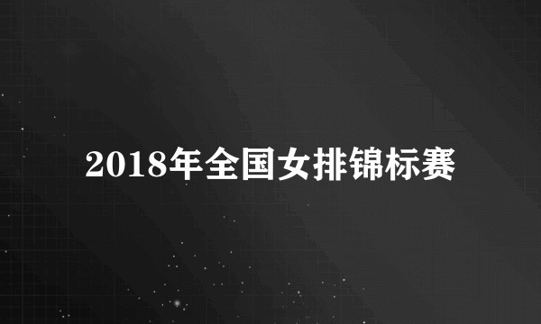 2018年全国女排锦标赛