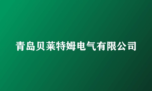 青岛贝莱特姆电气有限公司