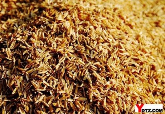 谷壳率