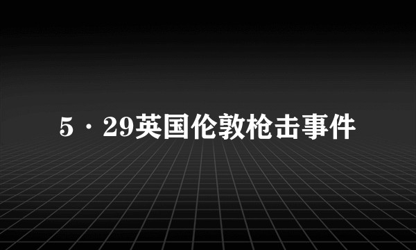 5·29英国伦敦枪击事件