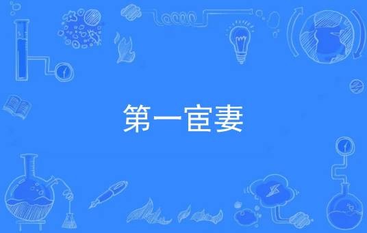 第一宦妻