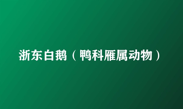 浙东白鹅（鸭科雁属动物）