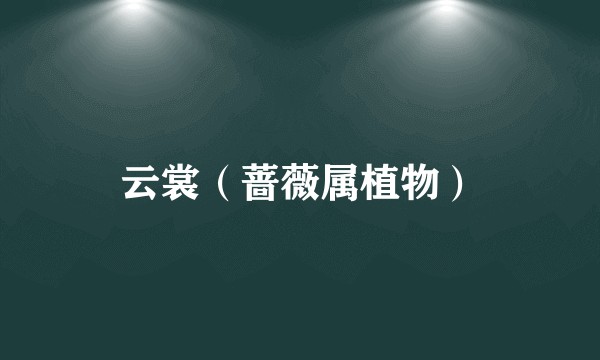 云裳（蔷薇属植物）