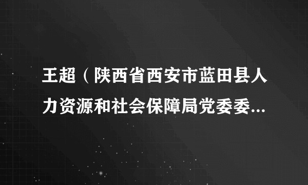 王超（陕西省西安市蓝田县人力资源和社会保障局党委委员、副局长）