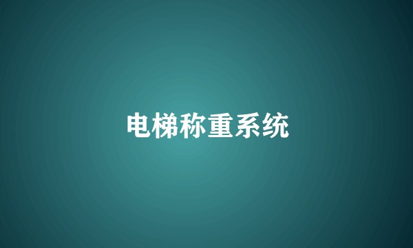 电梯称重系统