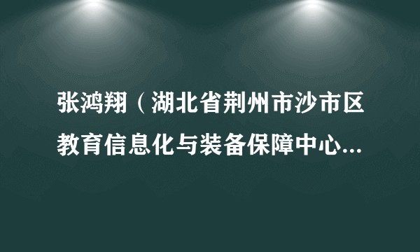 张鸿翔（湖北省荆州市沙市区教育信息化与装备保障中心党支部书记、主任）