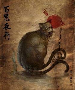 老猫猴