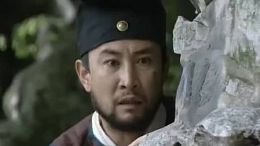 王胡子（电视剧《上错花轿嫁对郎》中的反派角色）