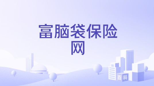 富脑袋保险网