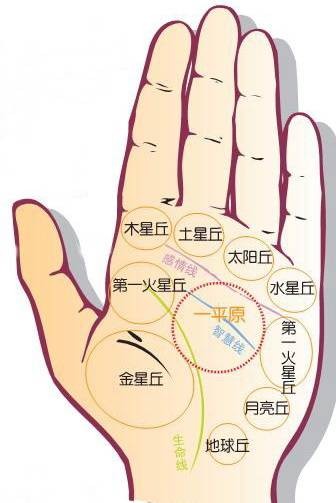 手诊（诊断学科）