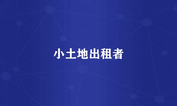 小土地出租者