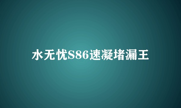 水无忧S86速凝堵漏王