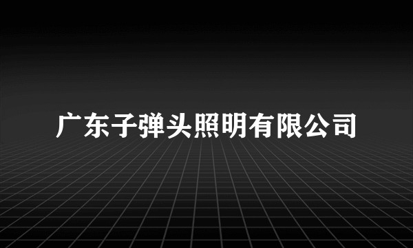 广东子弹头照明有限公司