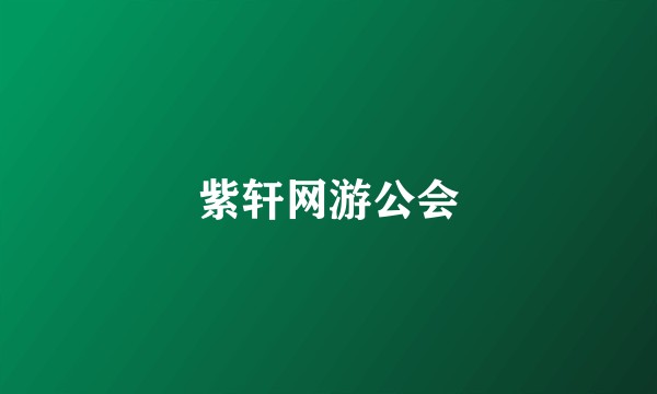 紫轩网游公会