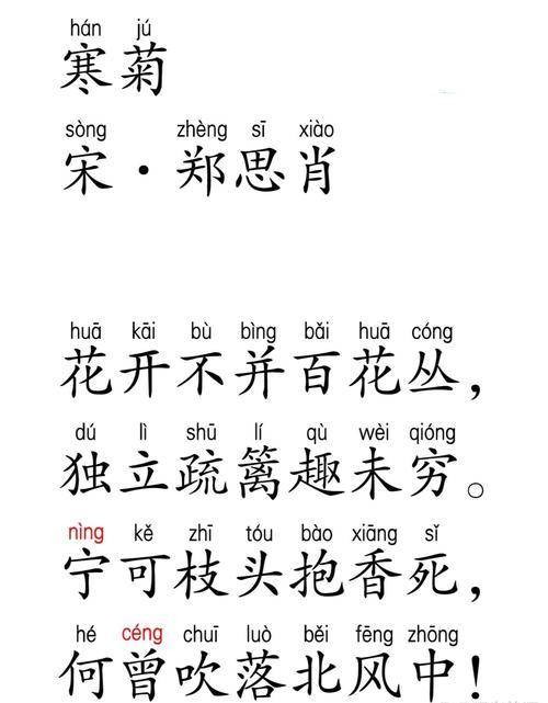 寒菊（郑思肖诗作《寒菊》）