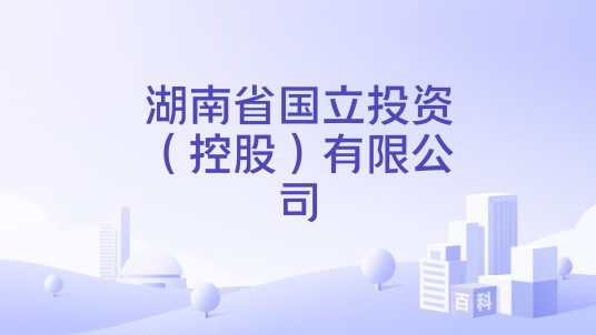 湖南省国立投资（控股）有限公司