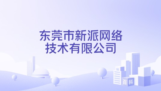 东莞市新派网络技术有限公司