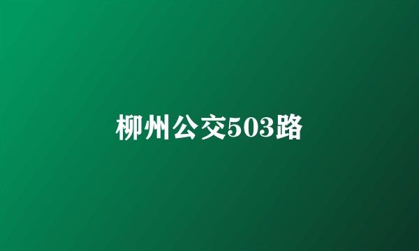 柳州公交503路