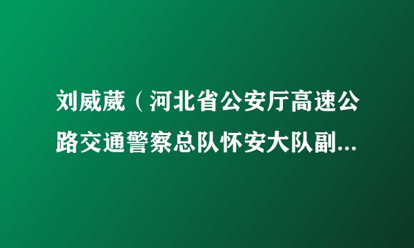 刘威葳（河北省公安厅高速公路交通警察总队怀安大队副大队长一级警长）
