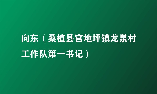 向东（桑植县官地坪镇龙泉村工作队第一书记）