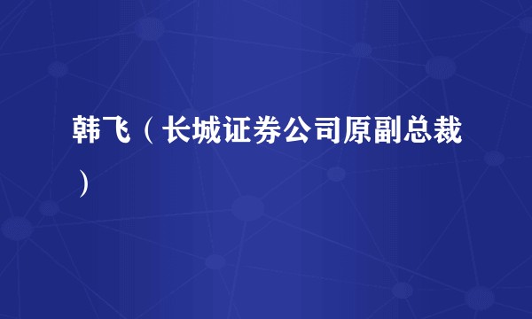 韩飞（长城证券公司原副总裁）
