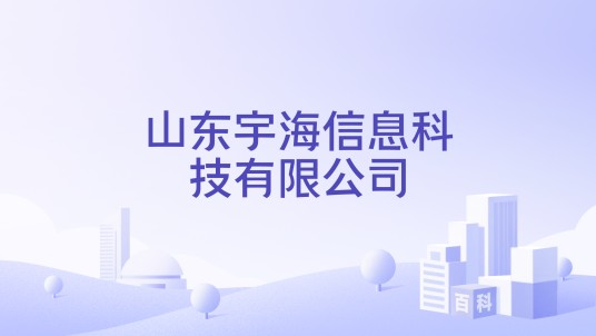 山东宇海信息科技有限公司