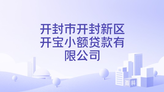 开封市开封新区开宝小额贷款有限公司