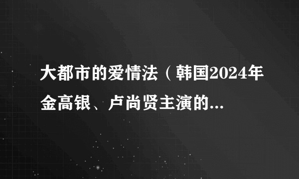 大都市的爱情法（韩国2024年金高银、卢尚贤主演的爱情电影）