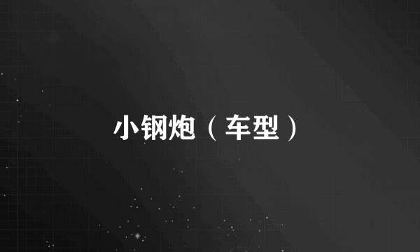 小钢炮（车型）