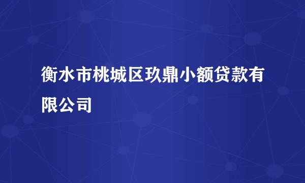 衡水市桃城区玖鼎小额贷款有限公司