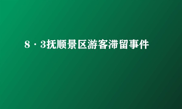 8·3抚顺景区游客滞留事件
