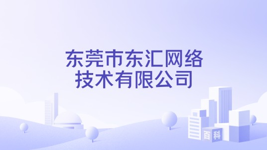 东莞市东汇网络技术有限公司