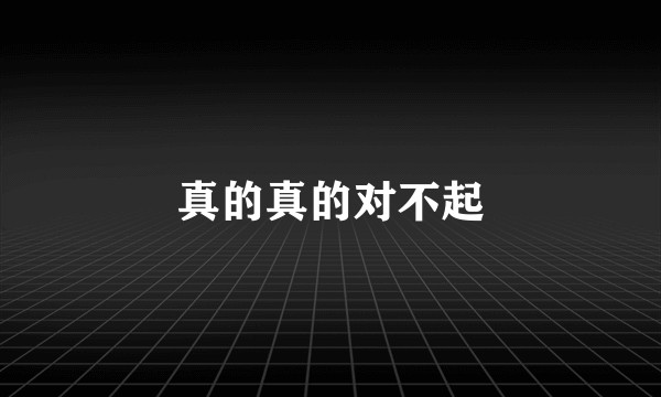 真的真的对不起