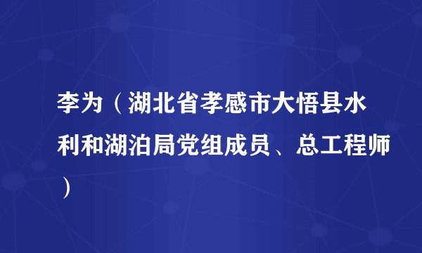李为（湖北省孝感市大悟县水利和湖泊局党组成员、总工程师）