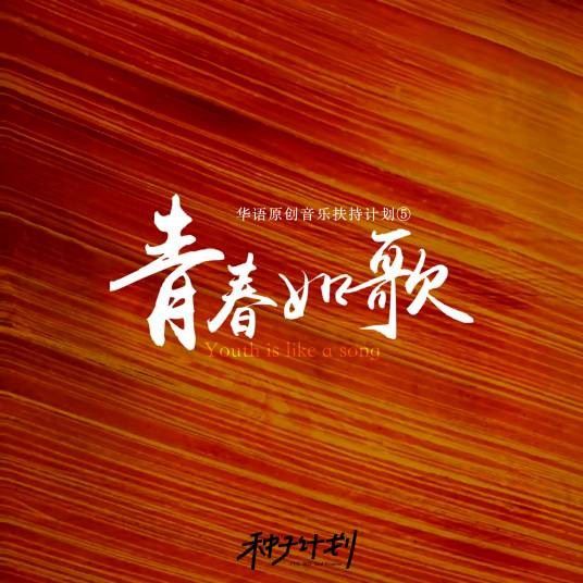 三十（音乐人常岭演唱的歌曲）