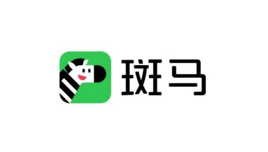斑马AI学