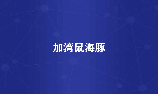 加湾鼠海豚