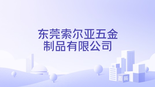 东莞索尔亚五金制品有限公司
