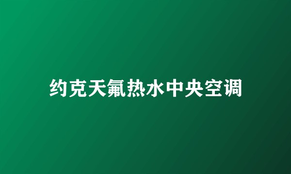 约克天氟热水中央空调