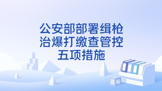 公安部部署缉枪治爆打缴查管控五项措施