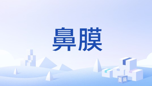 鼻膜