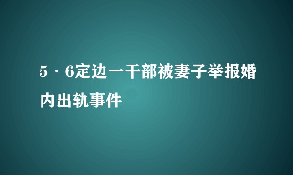 5·6定边一干部被妻子举报婚内出轨事件