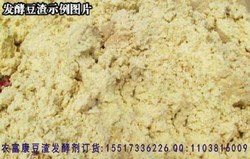发酵豆腐渣