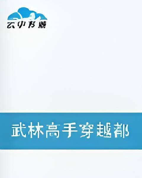 武林高手穿越都市