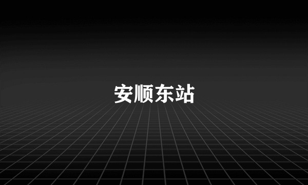 安顺东站
