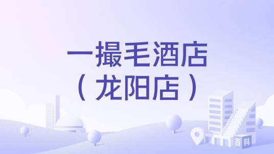 一撮毛酒店（龙阳店）
