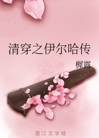 清穿之伊尔哈传